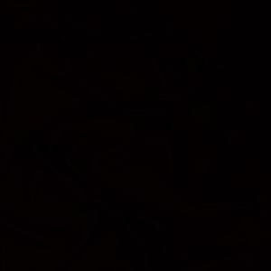 Meet your Posher, Noah